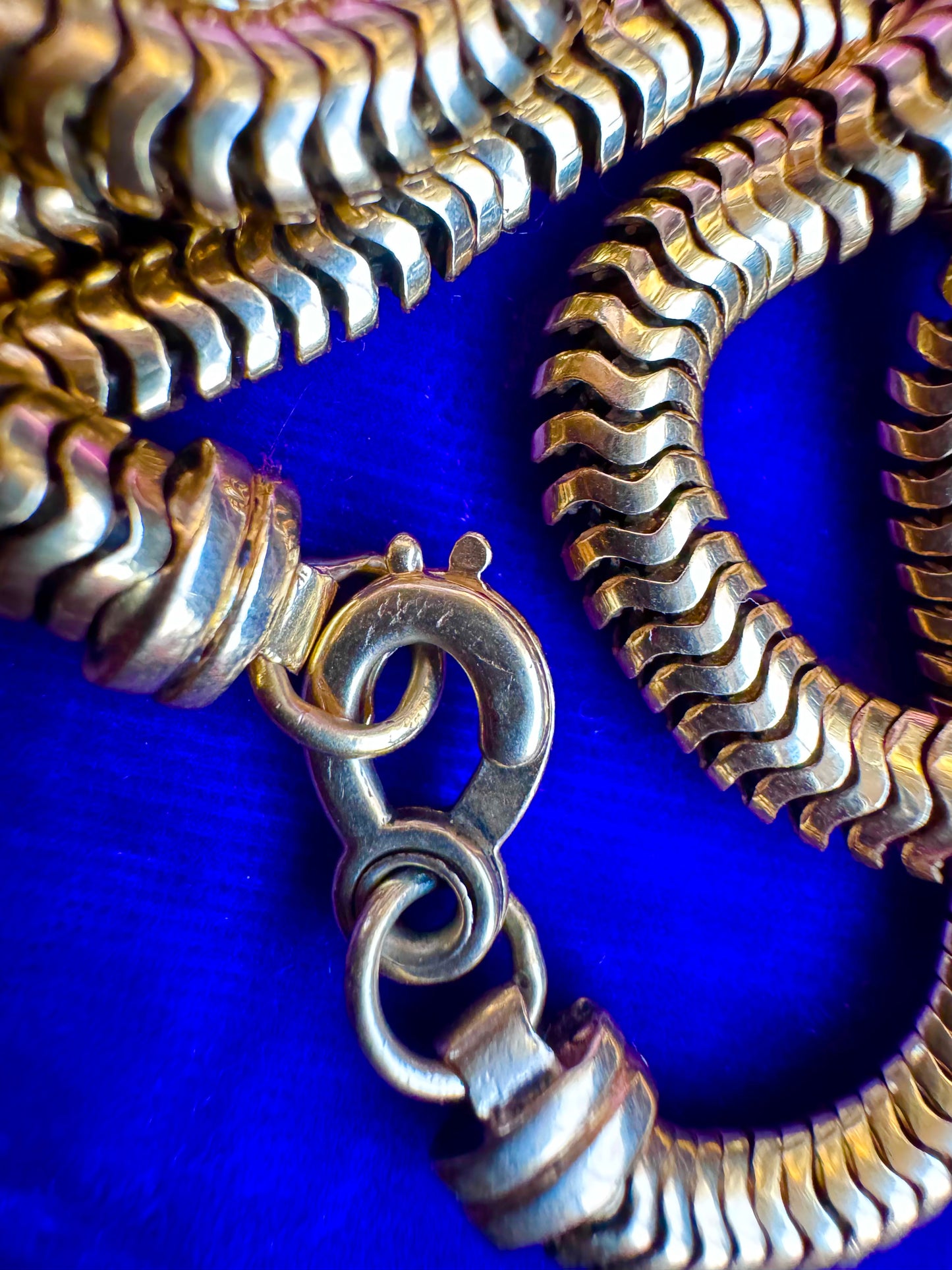 Vintage Long Snake Chain