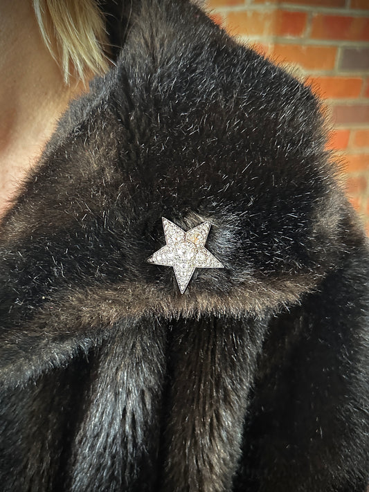 Antique French Diamond Star Brooch