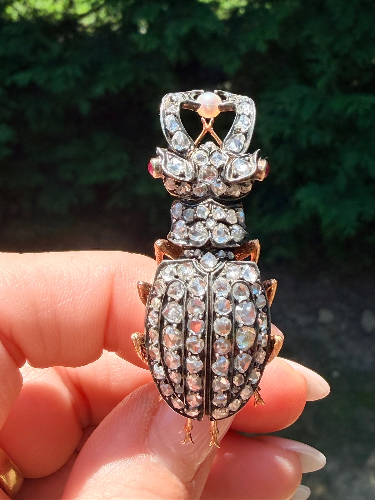 Victorian Diamond Stag Beetle Brooch