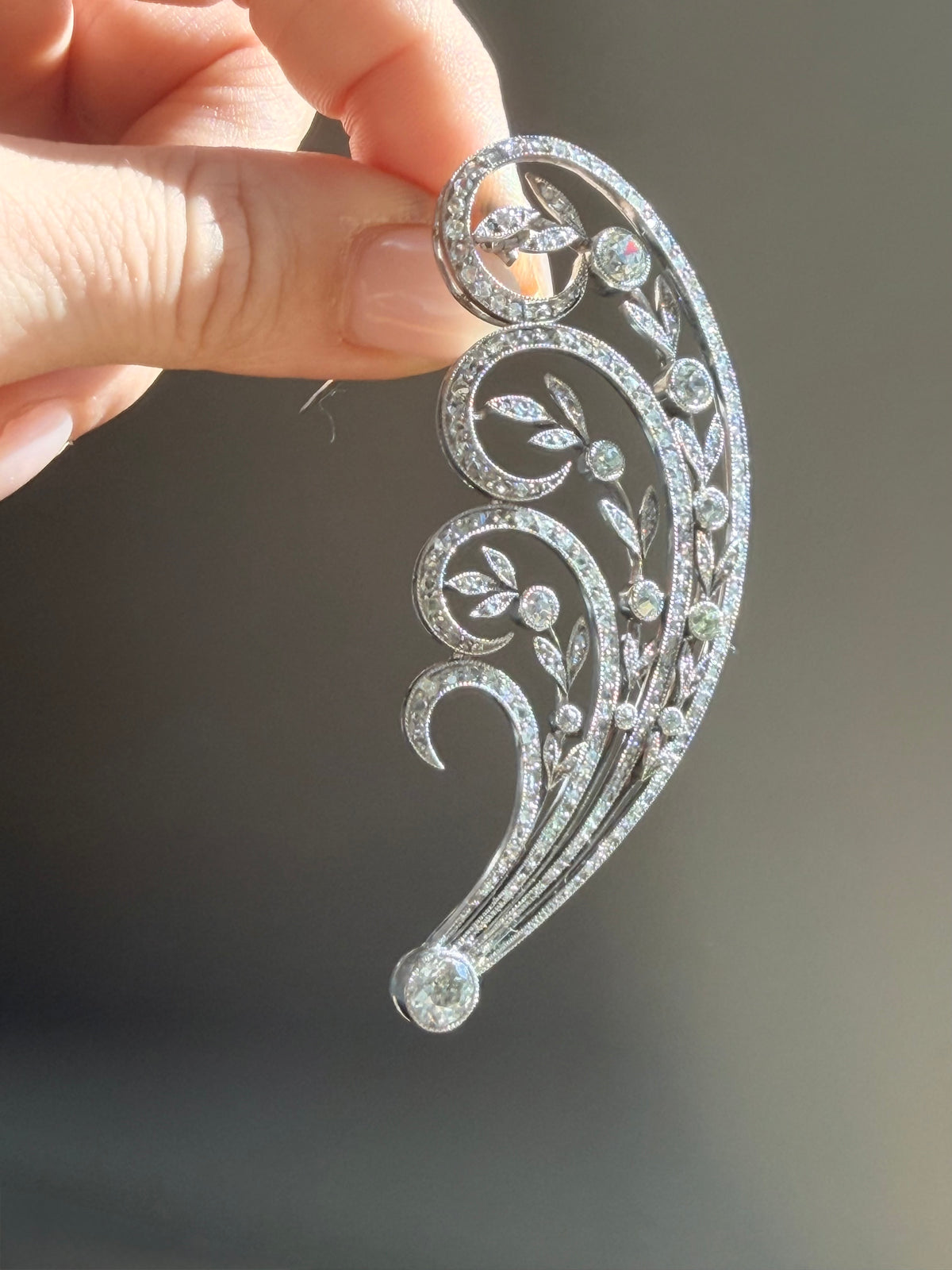 Edward Diamond Spray Brooch