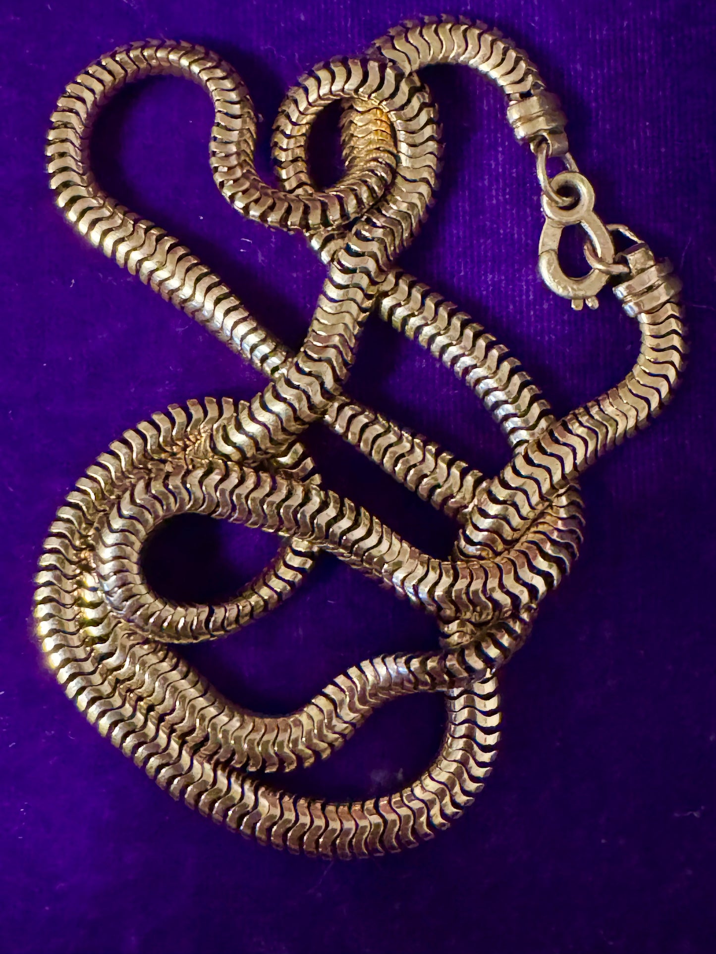 Vintage Long Snake Chain