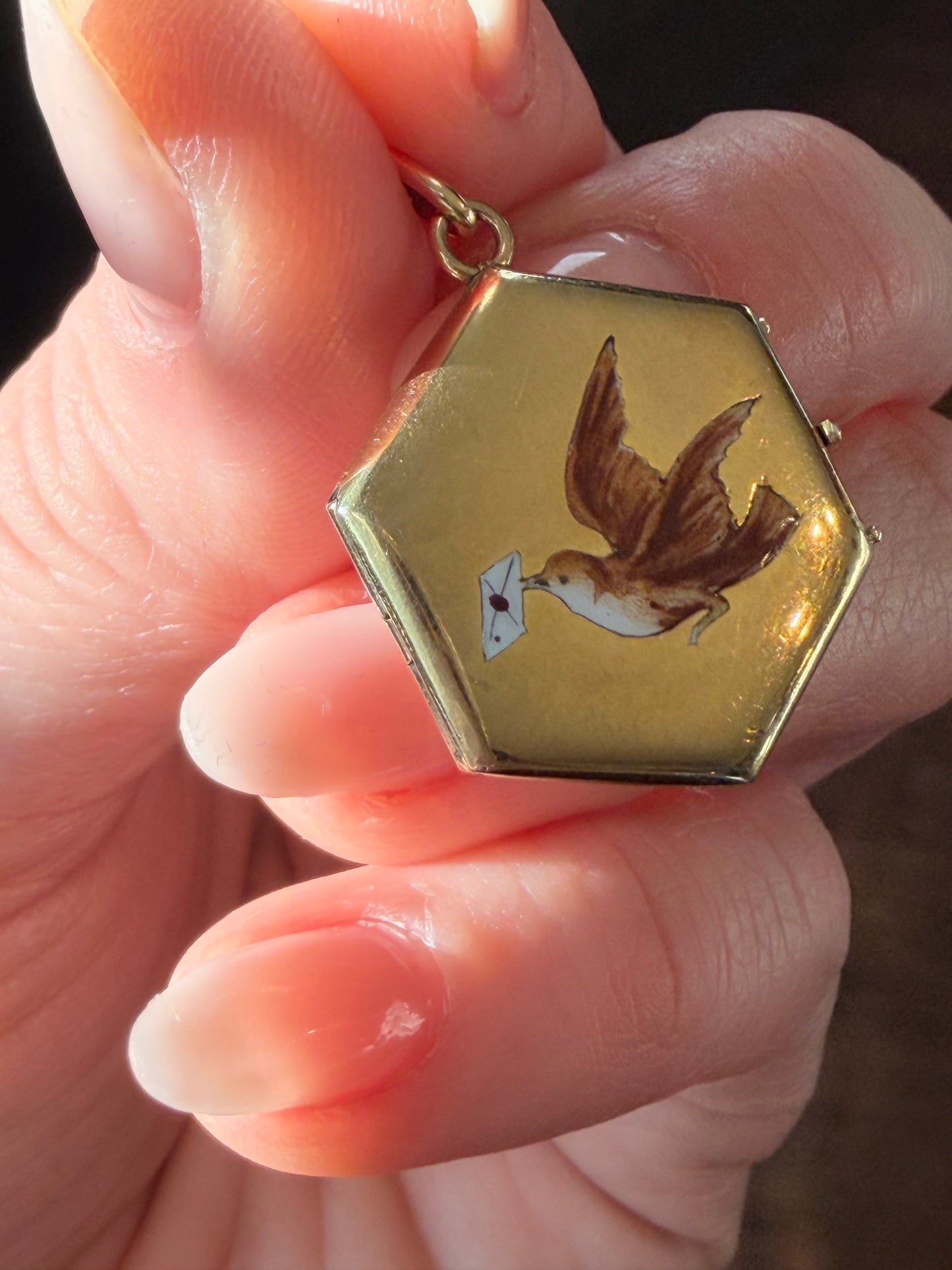 Antique Enamel Swallow and
Envelope Locket