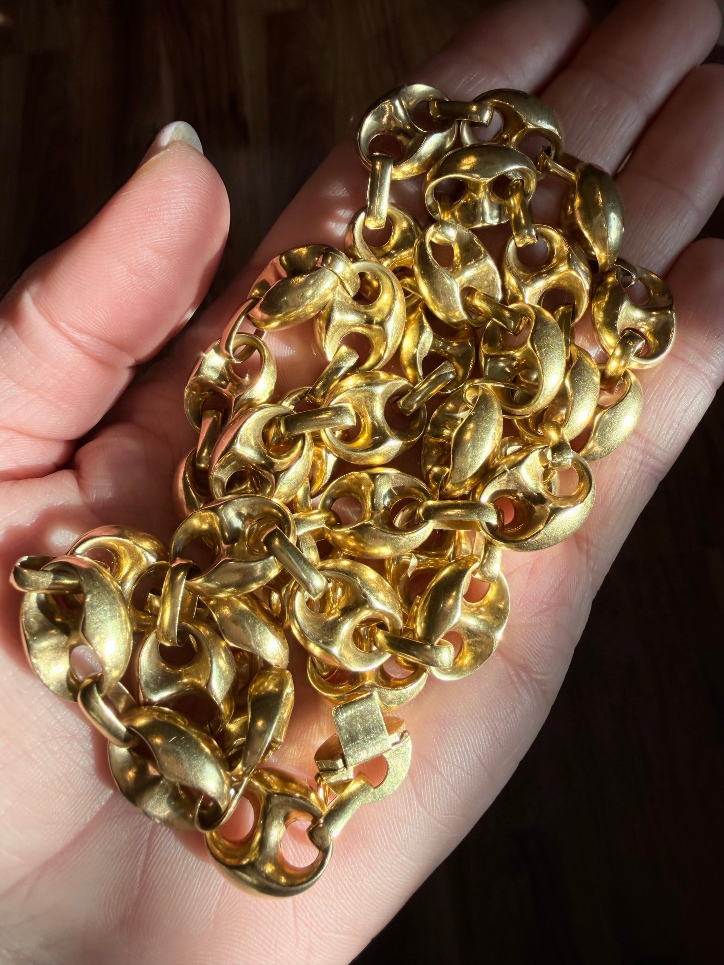 Vintage XL anchor Mariner Chain