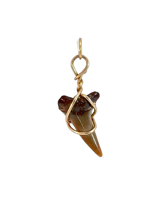 Estate 14k Yellow Gold Shark Tooth Pendant